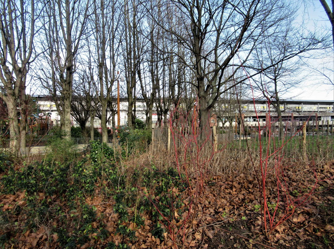 Parc du 19 mars 1962