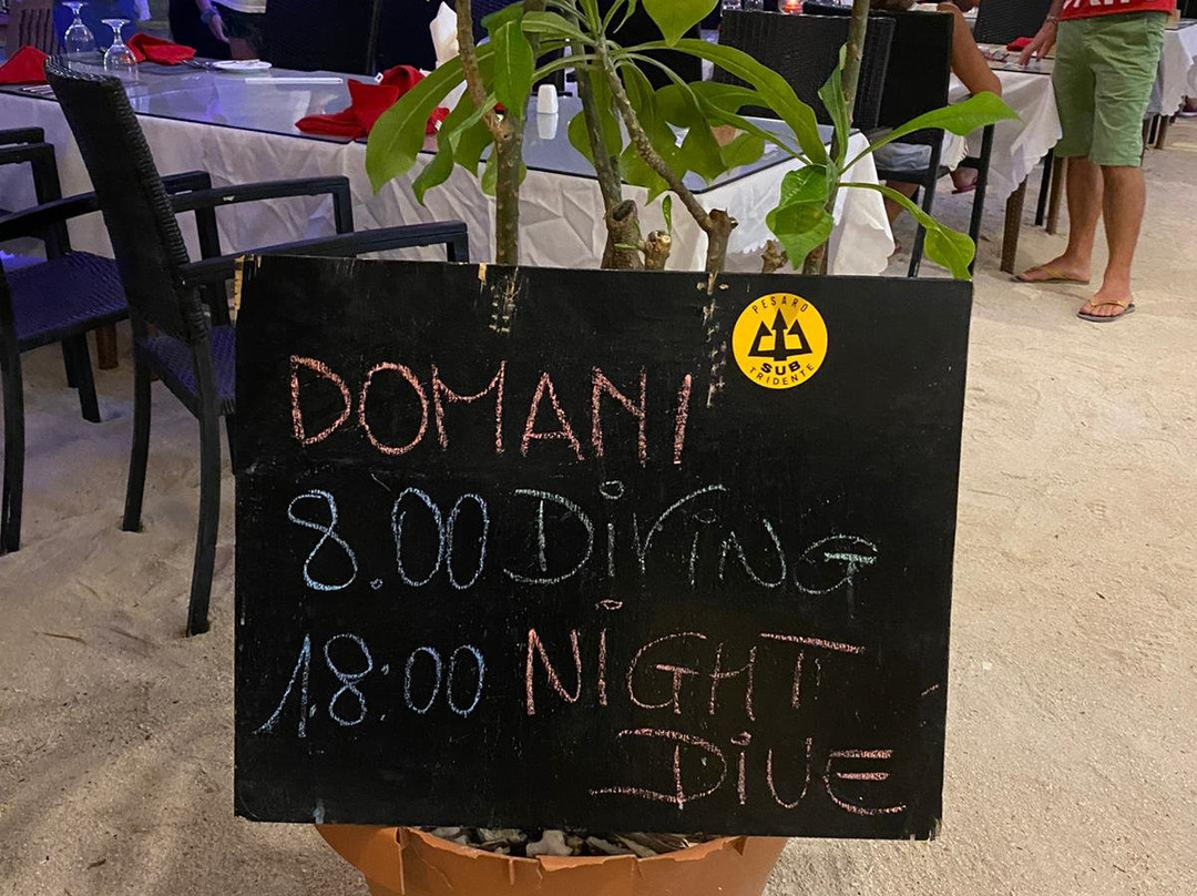 Albatros Top Diving-呼拉岛必去景点