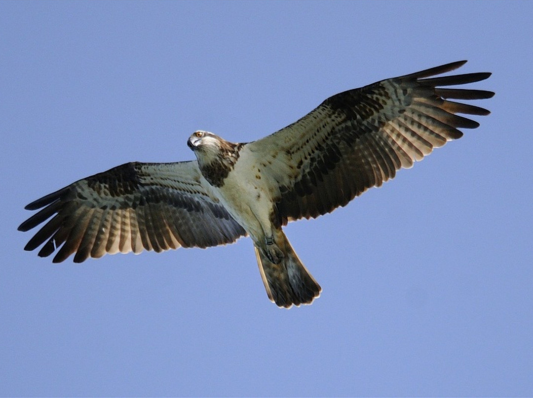 Maristella旅游攻略图片