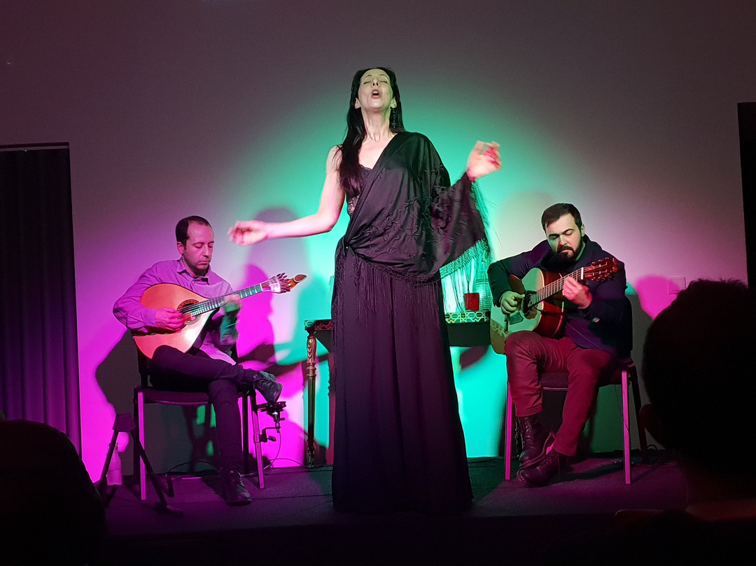 Fado na Baixa景点图片