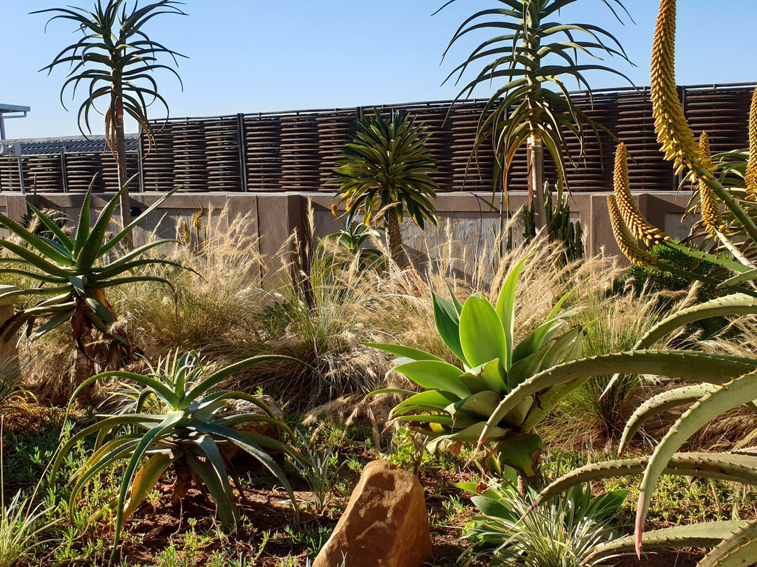 Aloes No.21 Bed & Breakfast主图