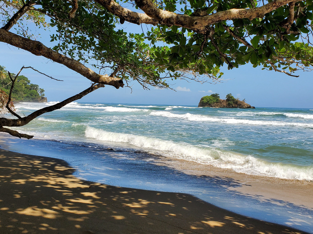 Playa Cocles景点图片
