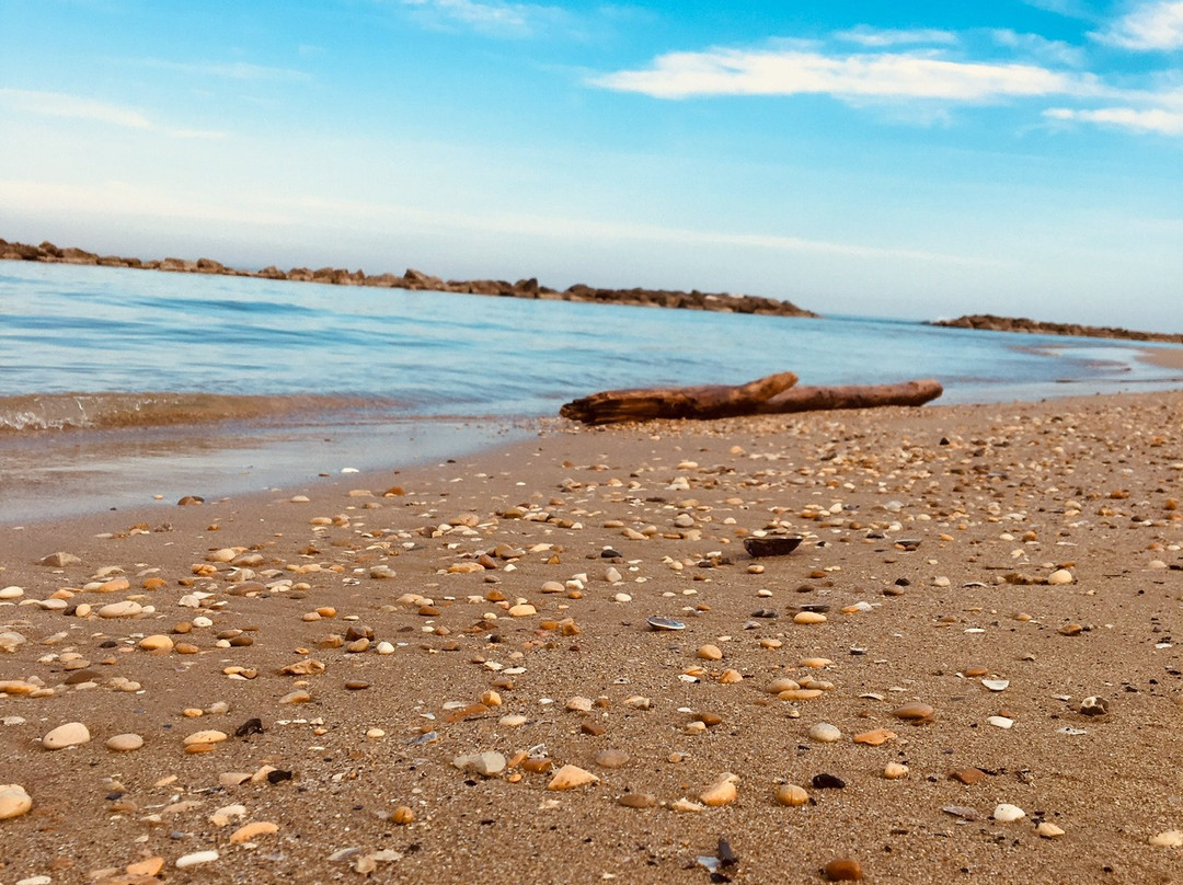 Agriturismo Il Sentiero主图