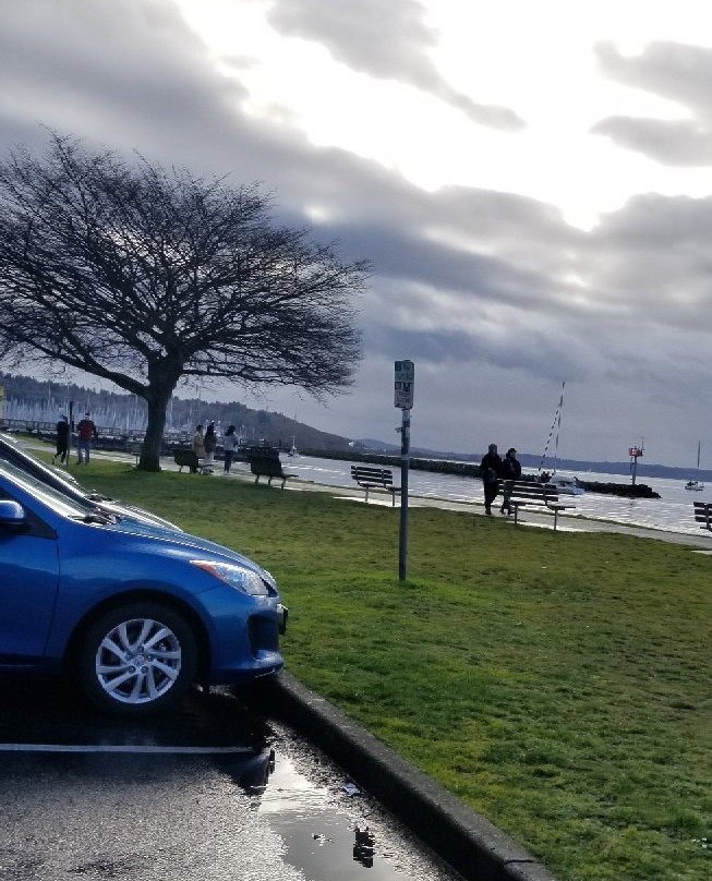 金园公园-西雅图必去景点