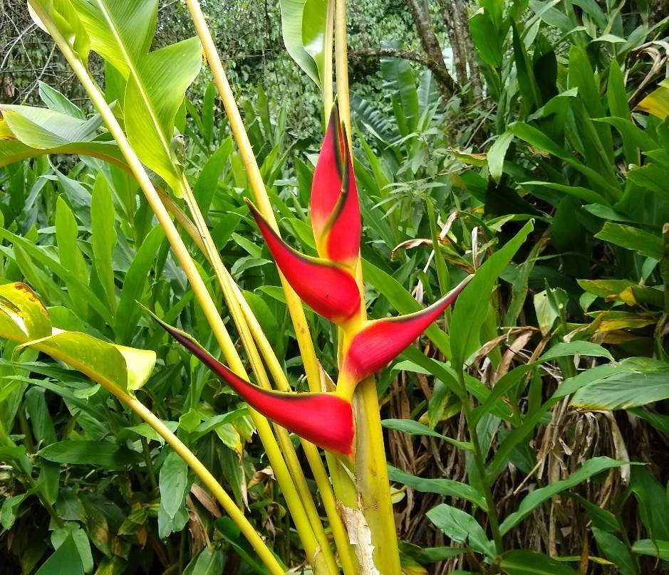 Jardin Botanico Los Balsos-Jerico必去景点