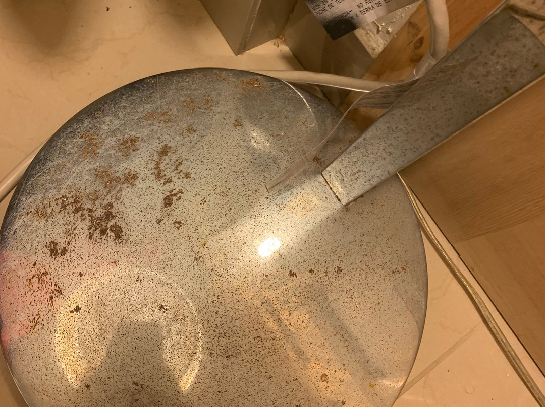 Garden Inn Homestead主图