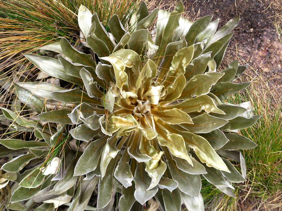 Paramo de Oceta-Mongui必去景点