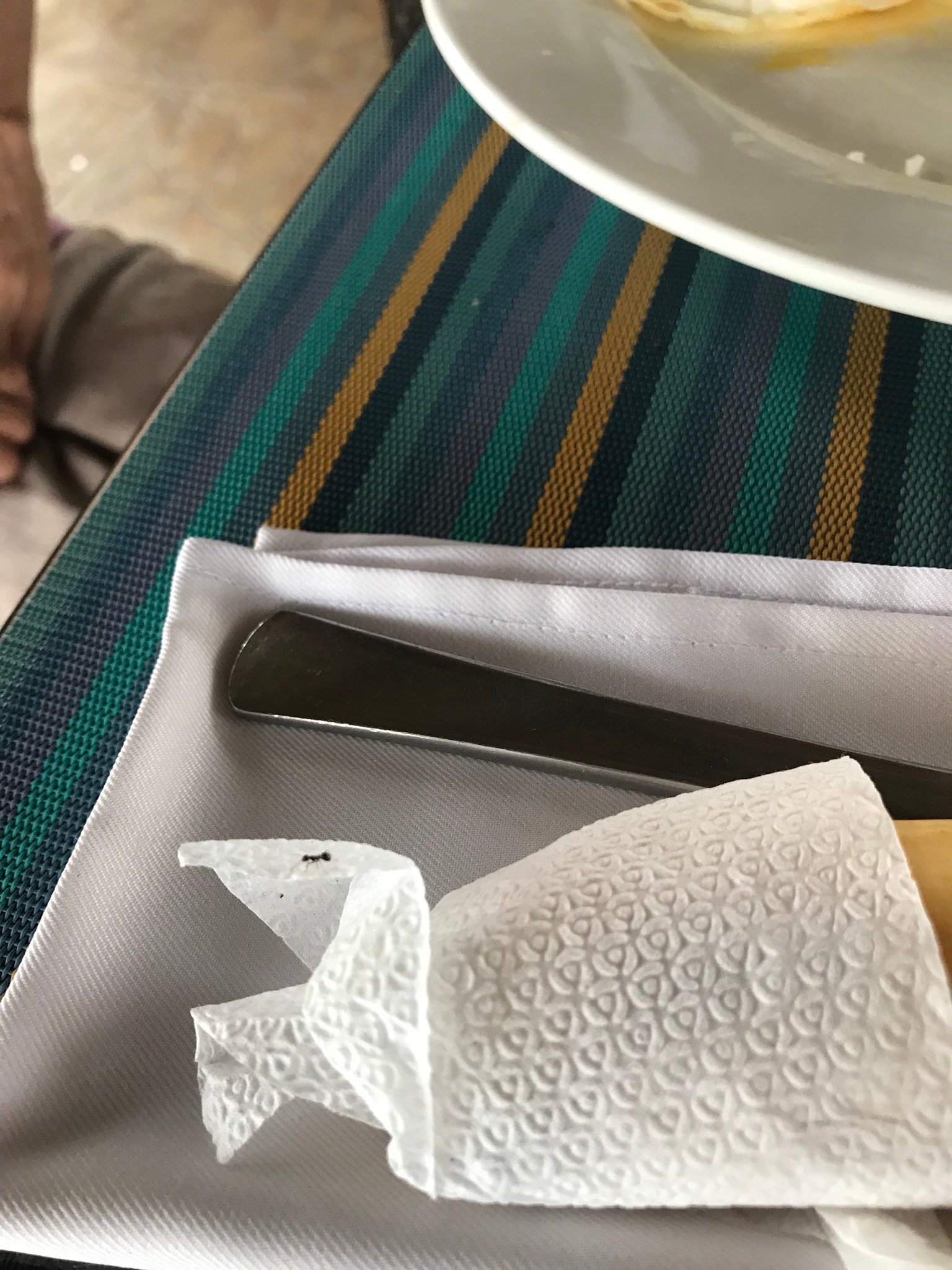 Caimito Beach Hotel-餐饮