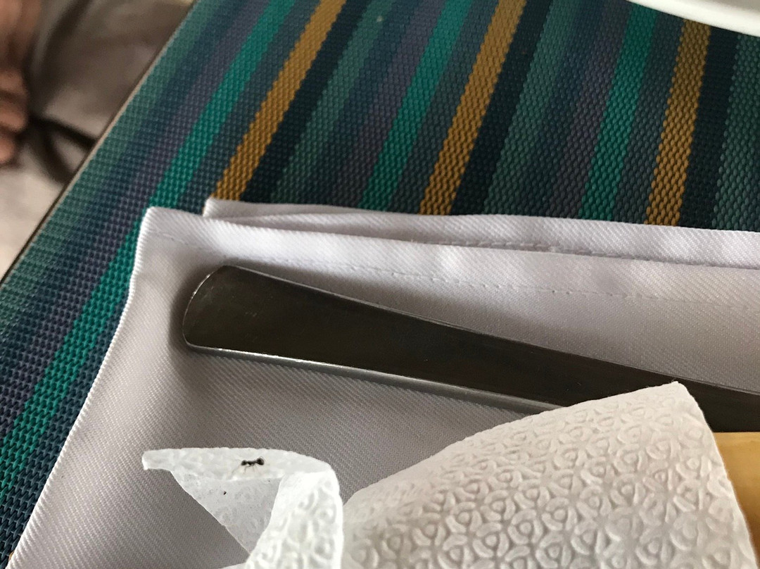 Caimito Beach Hotel主图