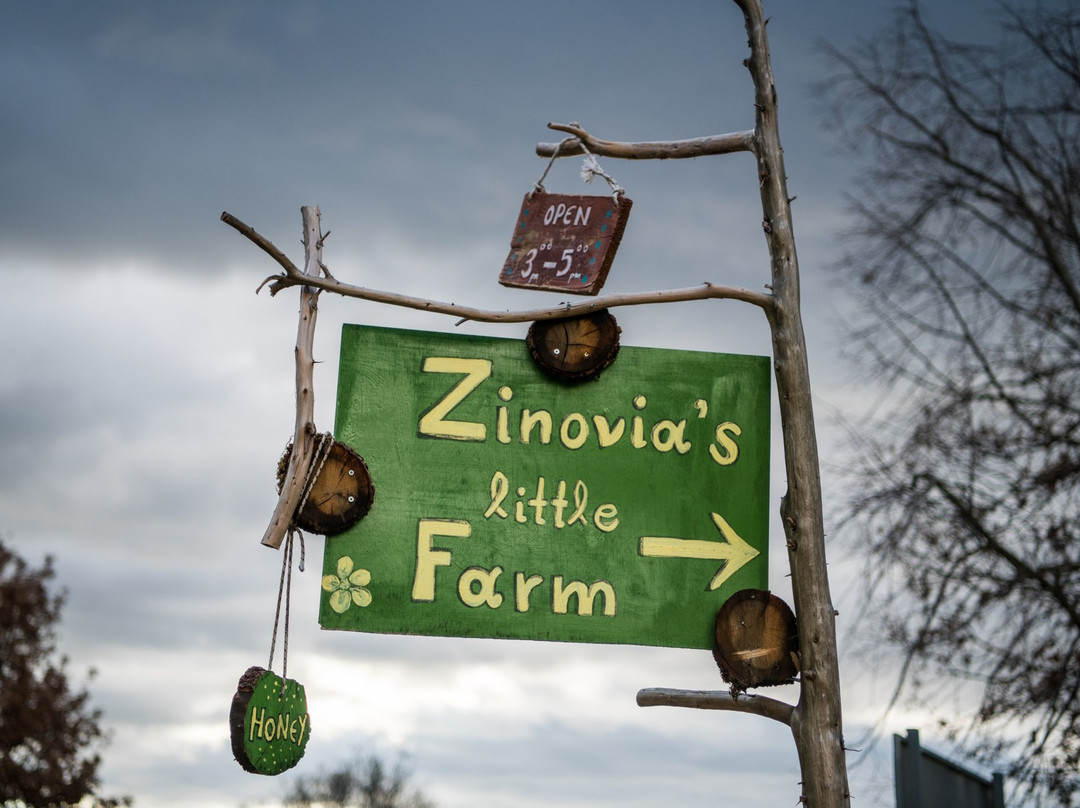 Zinovia's Little Farm景点图片