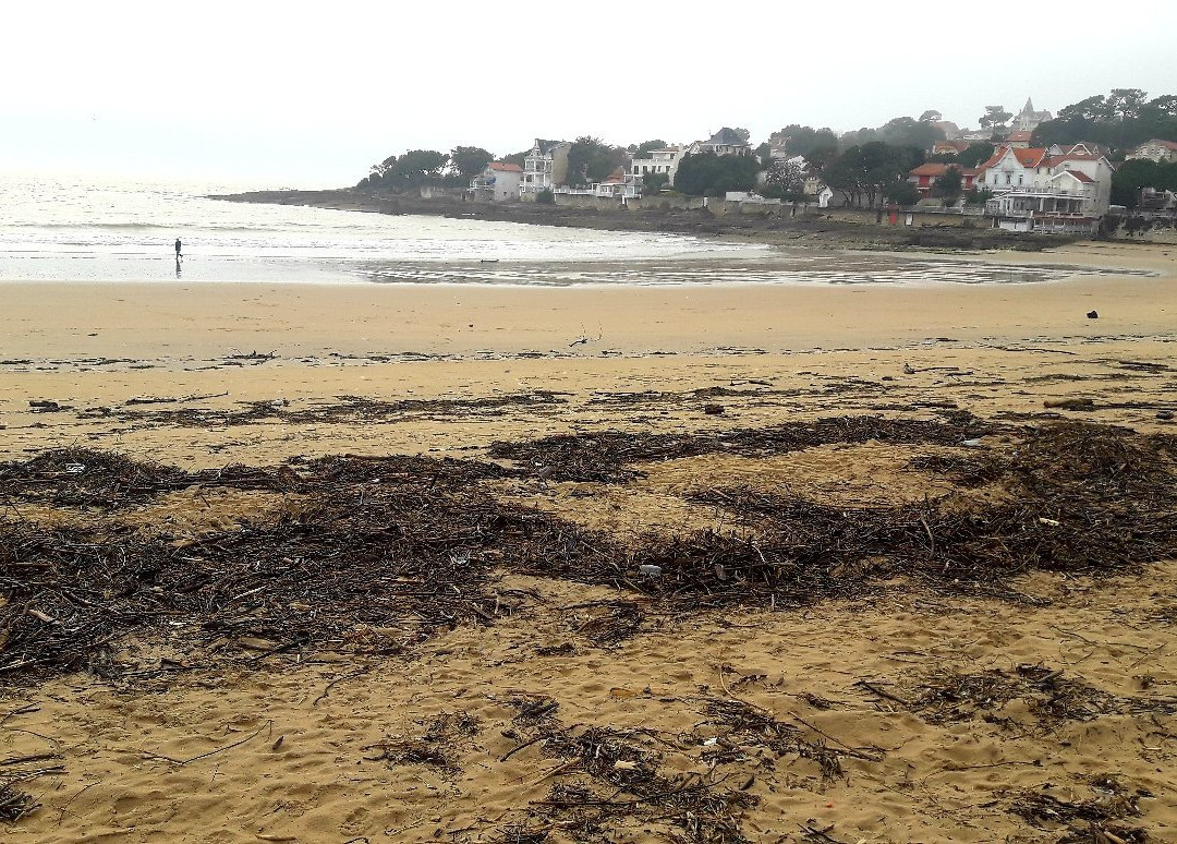 Plage du Bureau景点图片