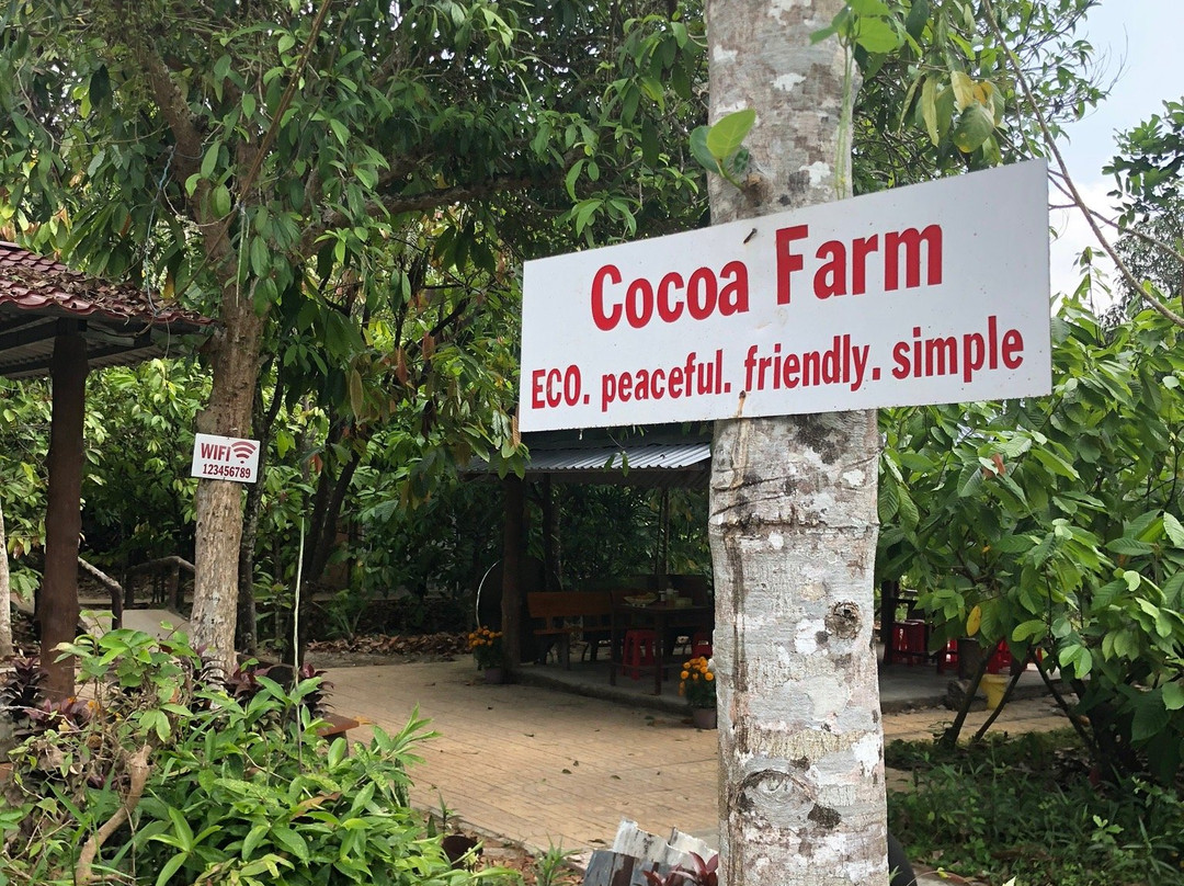Muoi Cuong Cocoa Farm-芹苴必去景点