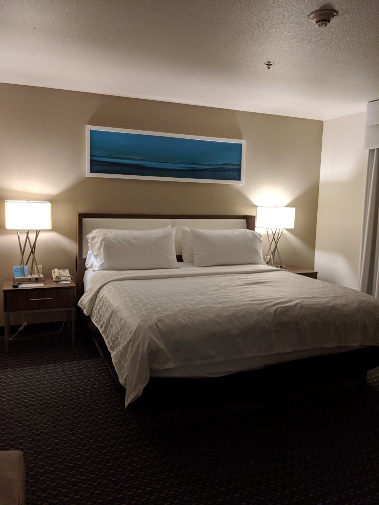 Holiday Inn Express & Suites Pharr, an IHG hotel-官方