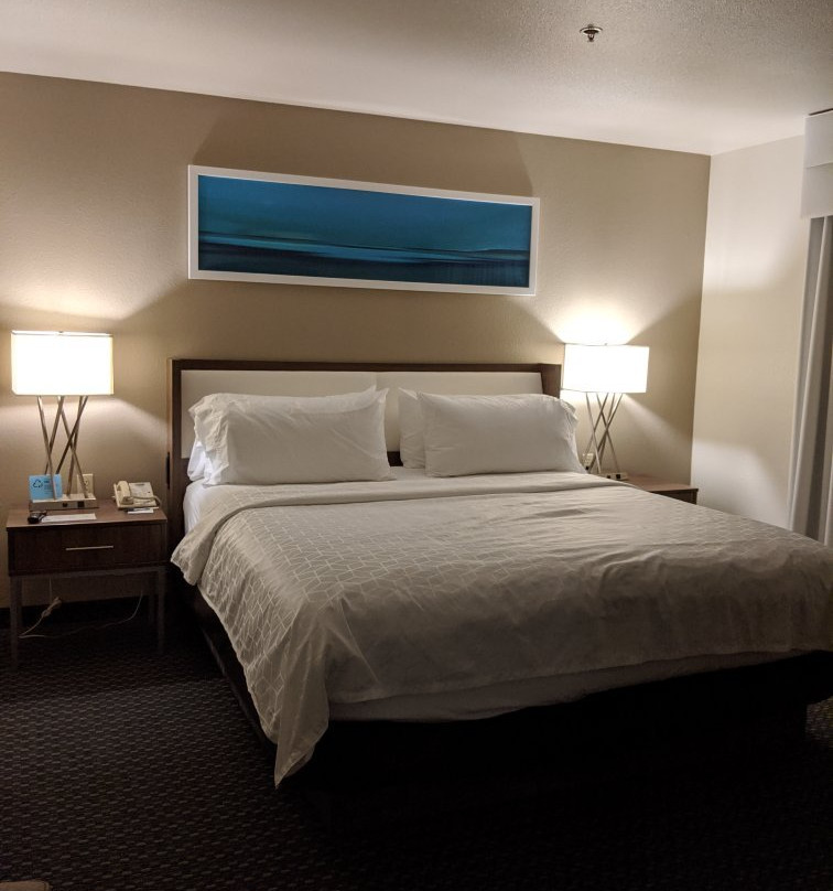 Holiday Inn Express & Suites Pharr by IHG