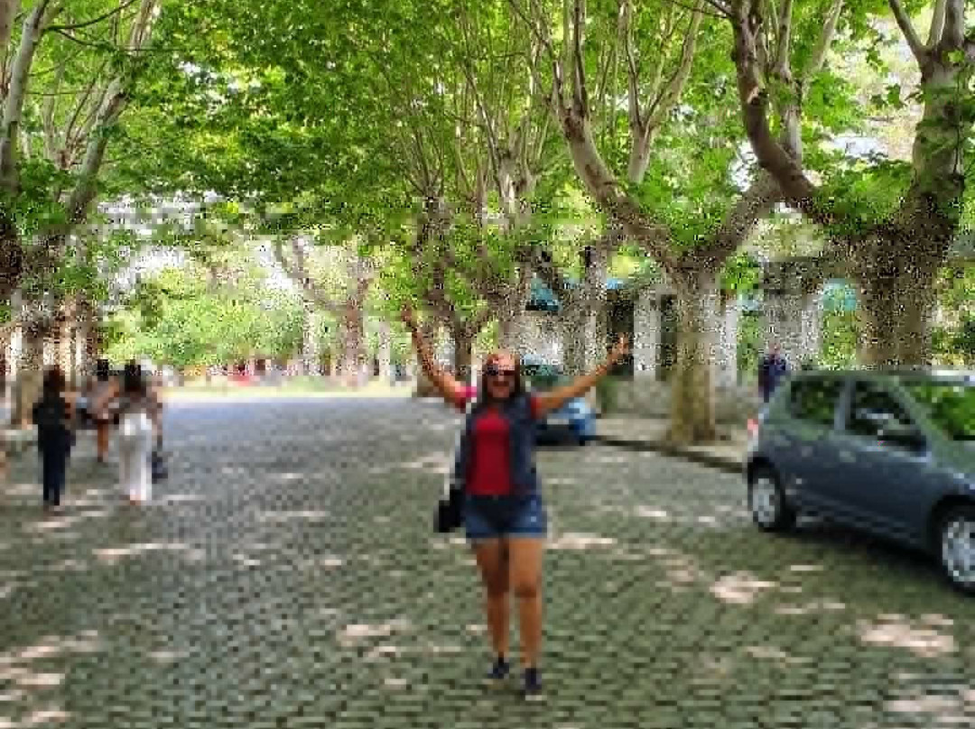 Avenida General Flores-科洛尼亚·德尔萨克拉门托城必去景点