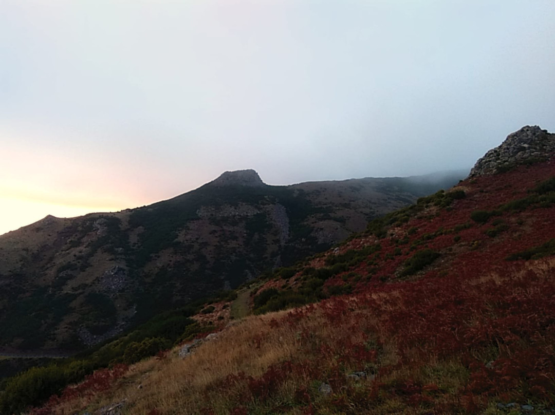 Tropical Treasures-马德拉群岛必去景点