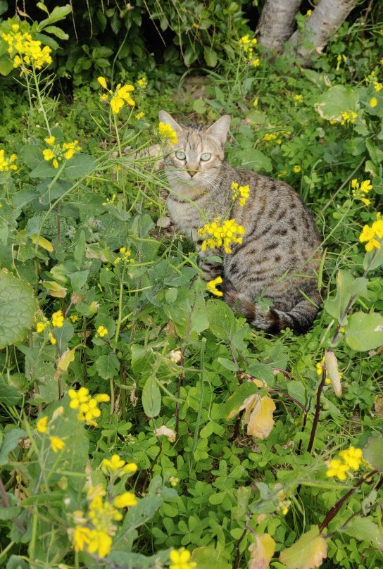 Ta’ Qali National Park-Attard必去景点