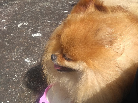 Multisport Mantiqueira-蒙特贝尔德必去景点