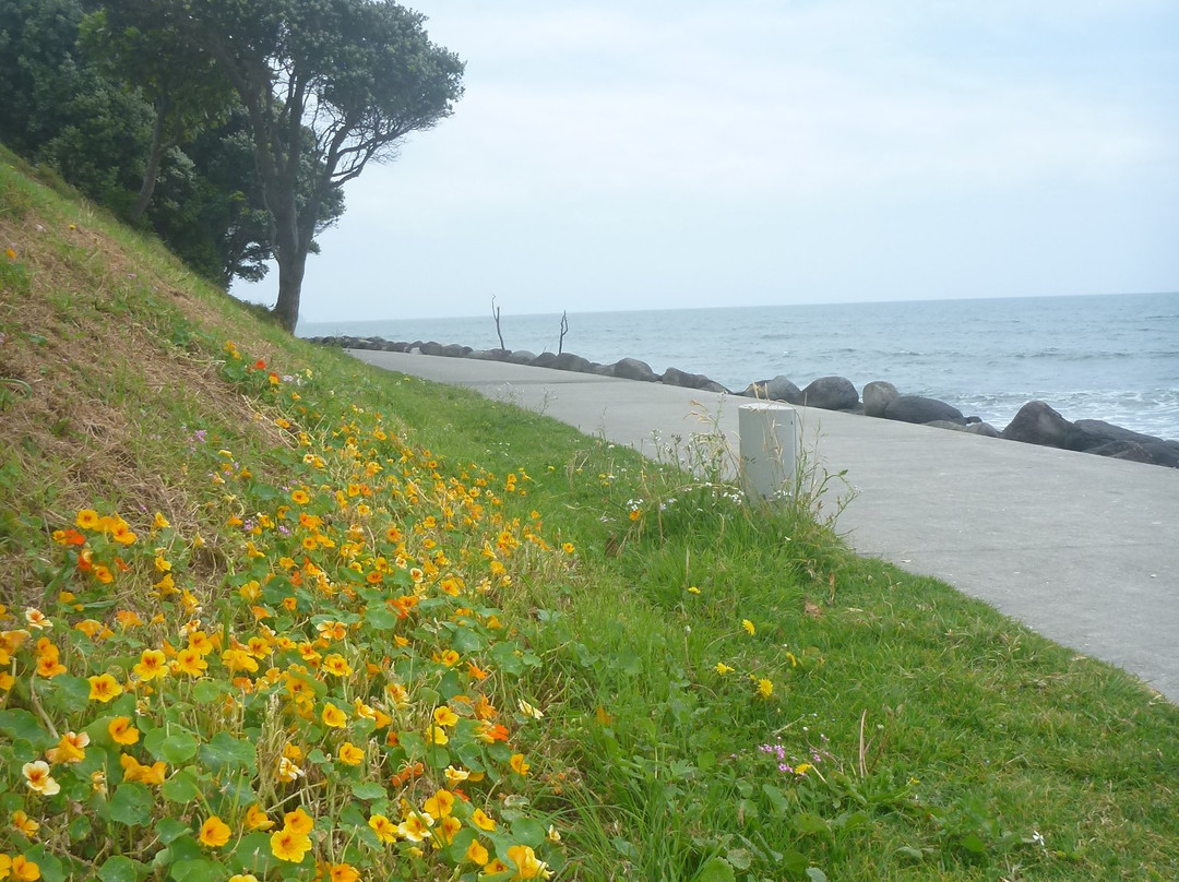 Port Taranaki Walkway景点图片