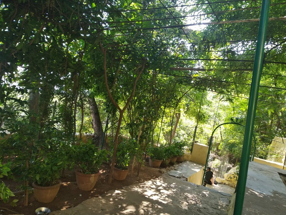 Skandashramam-Tiruvannamalai必去景点