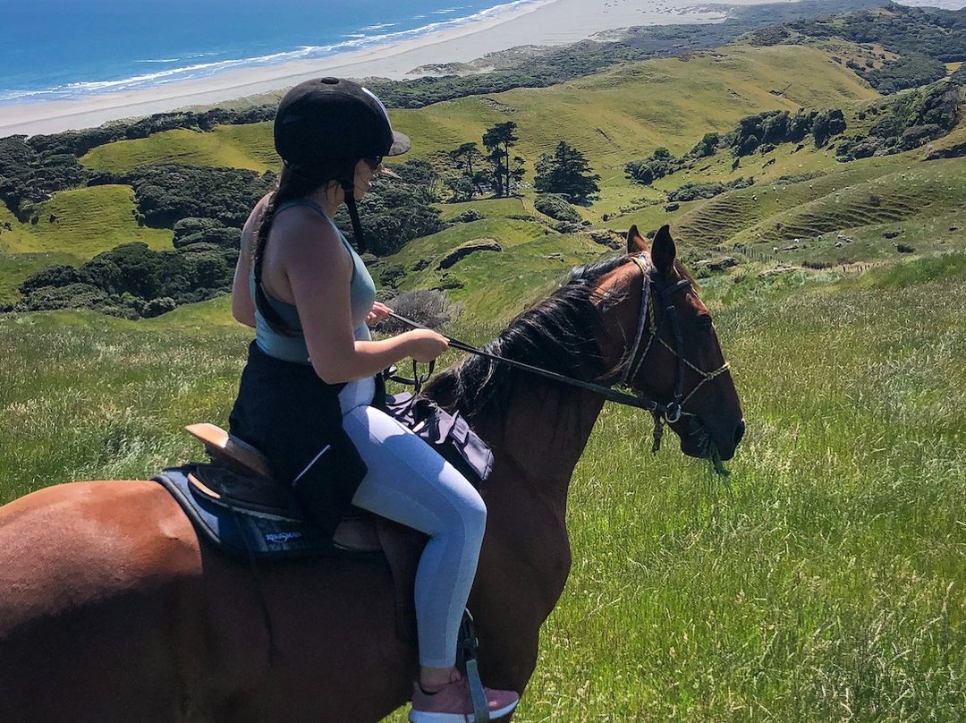 Cape Farewell Horse Treks景点图片