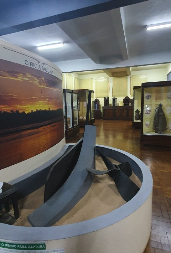 Museu Goiano Zoroastro Artiaga景点图片