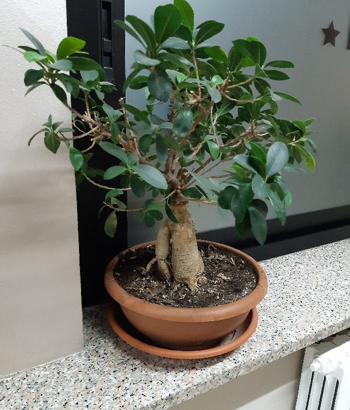 拉罗莎比安卡酒店主图