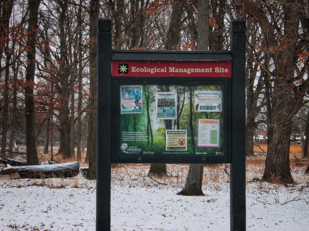 Schiller Woods-席勒公园必去景点