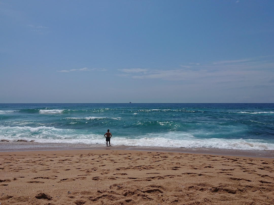 康福特豪斯住宿加早餐酒店主图