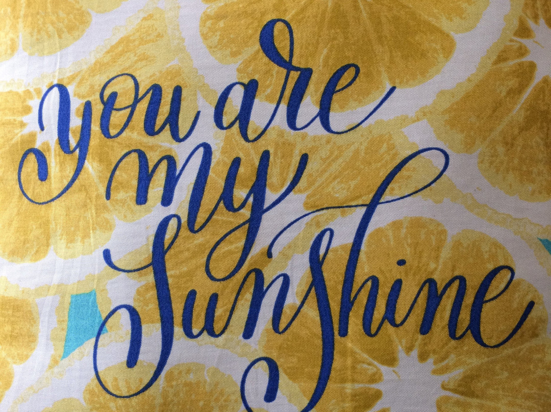 Days Inn by Wyndham Lake City主图