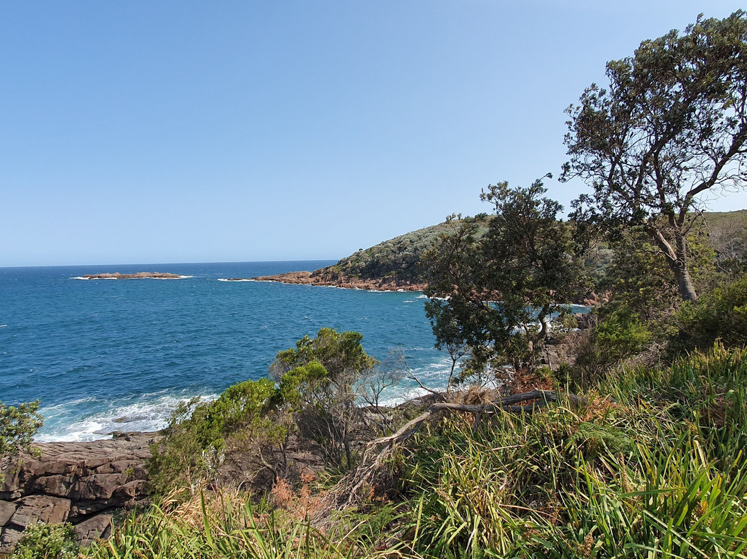 Barry Park Lookout景点图片