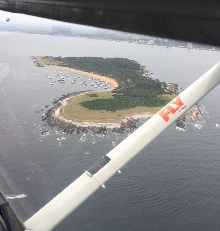 Fly-蒙得维的亚必去景点