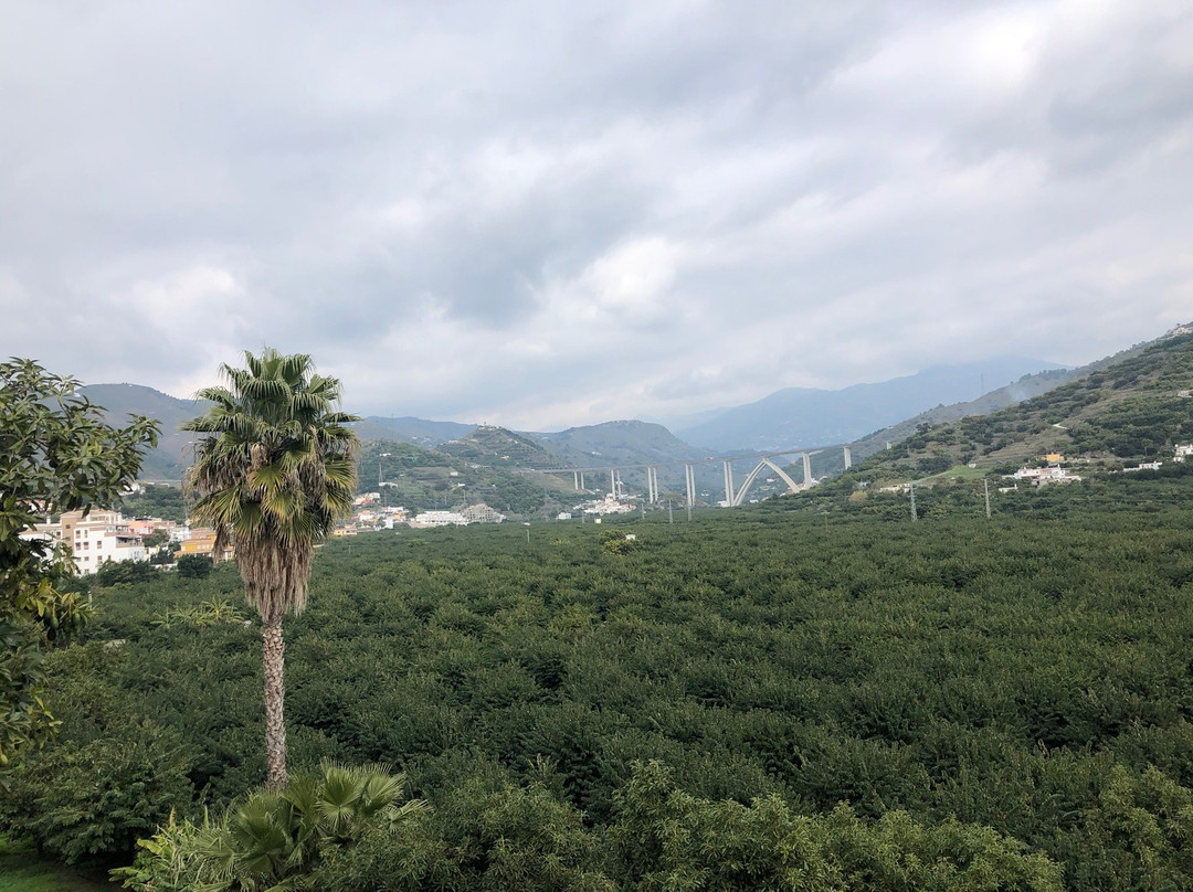 Otros Caminos-格拉纳达必去景点