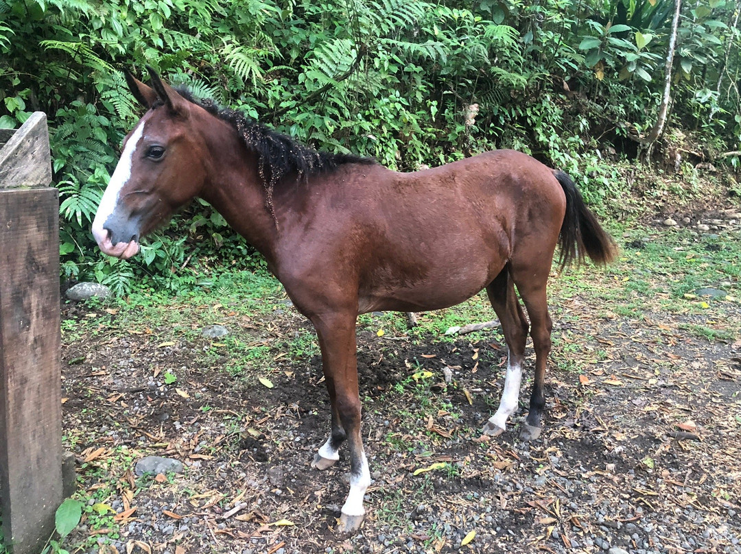 Hotel Hacienda Sueno Azul主图