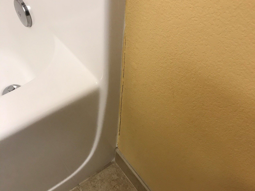 Microtel Inn & Suites by Wyndham Anderson / Clemson主图