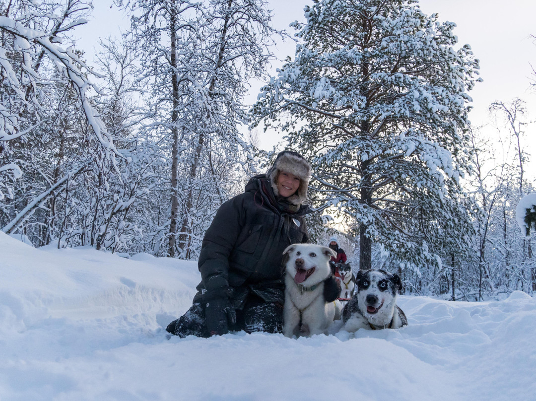 HORISONT HUSKY - Dogsled adventures and expeditions in the Arctic-阿尔塔必去景点