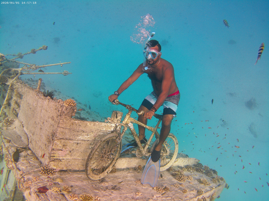 Jupiter Sunrise Lodge主图