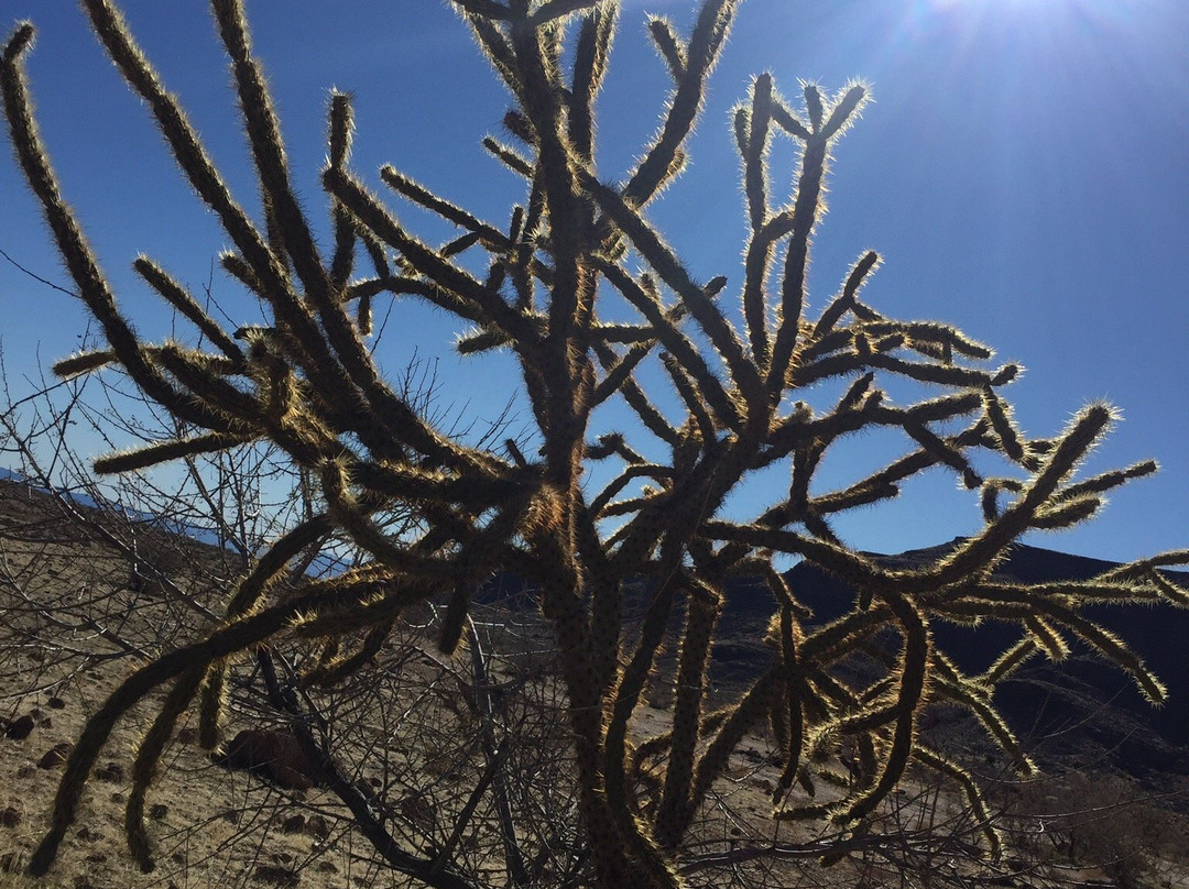 Hole in the Wall-Cima必去景点