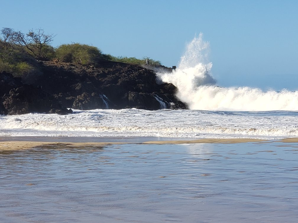 Sadie Seymour Botanical Gardens-凯鲁瓦-柯纳必去景点