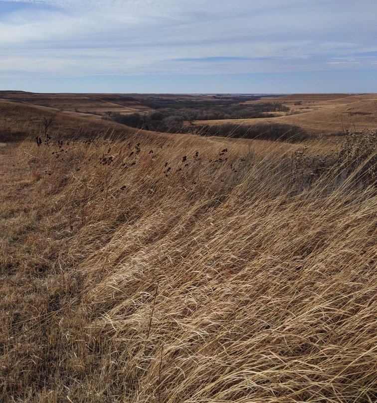 Konza Prairie Research Natural Area景点图片