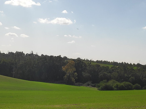 HaRishonim BaNegev Site-Sderot必去景点