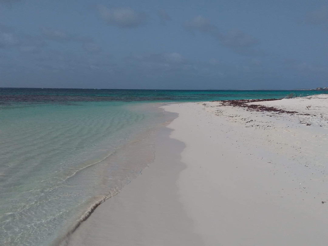 Seaside Stables Anguilla景点图片