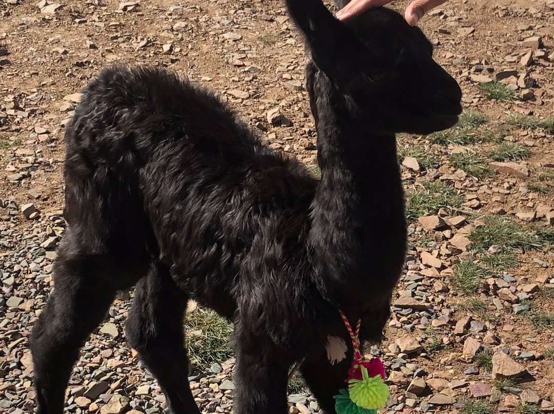 克夫拉达德乌马瓦卡-塔夫拉达·德乌玛瓦卡必去景点