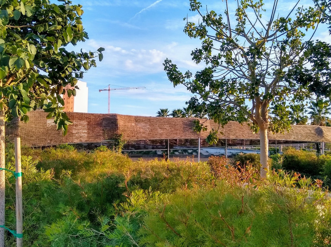 Parque Central-巴伦西亚必去景点