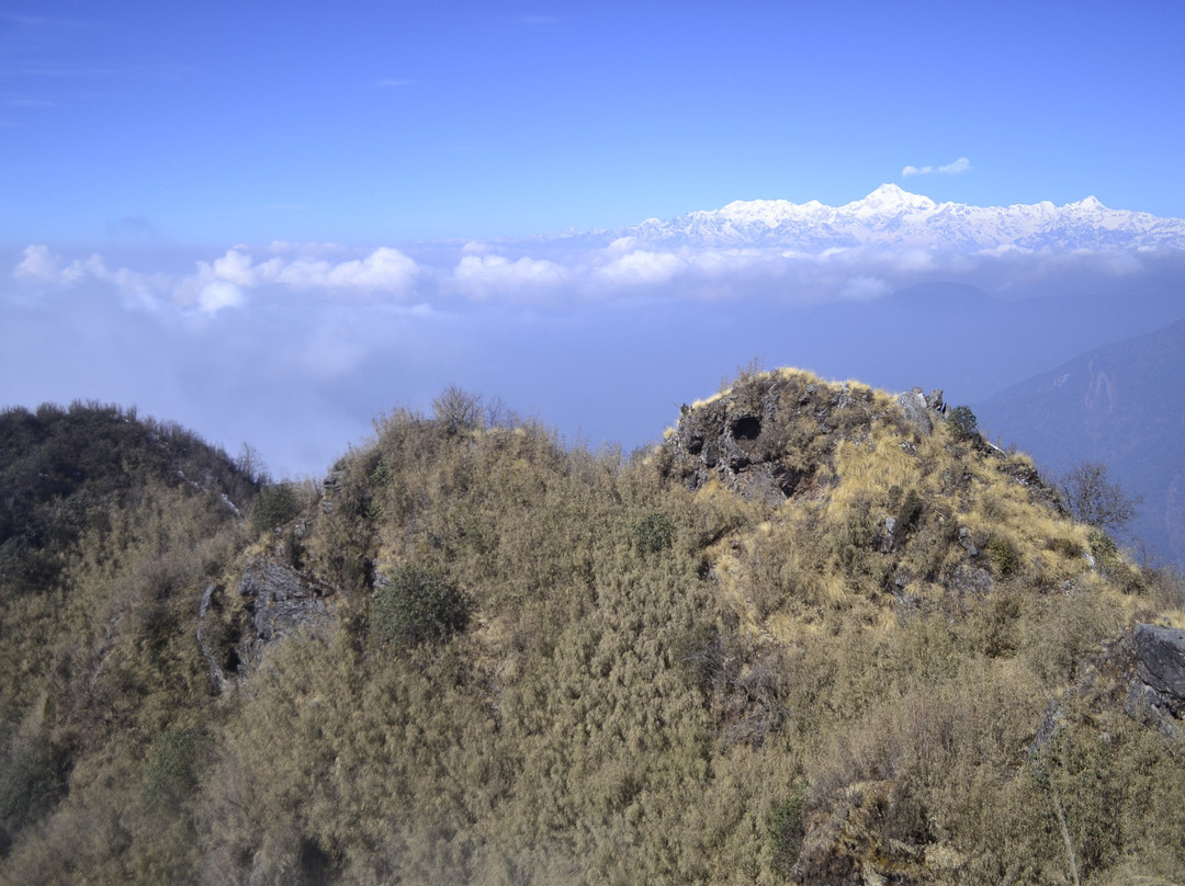 Thambi View Point景点图片