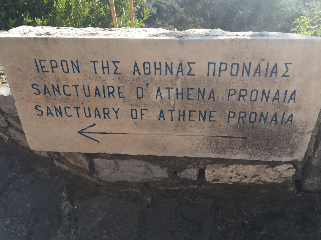 Tholos of Athena Pronaia景点图片