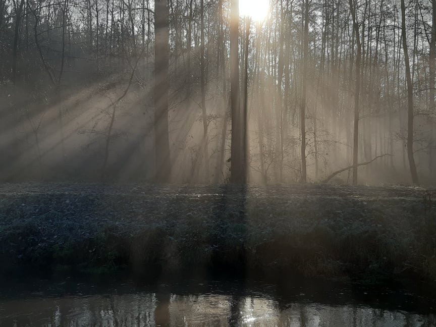 Beeltjens-Bed-Breakfast - Wolf & Belle主图