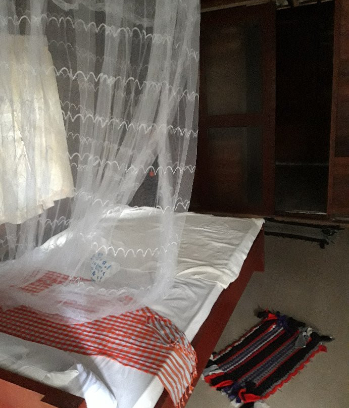 Sweet Jungle Bungalows主图