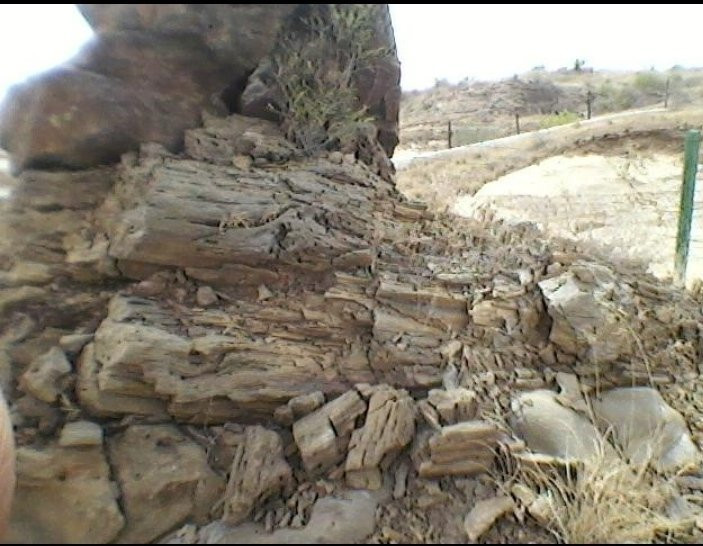 Kutch Fossil Park景点图片