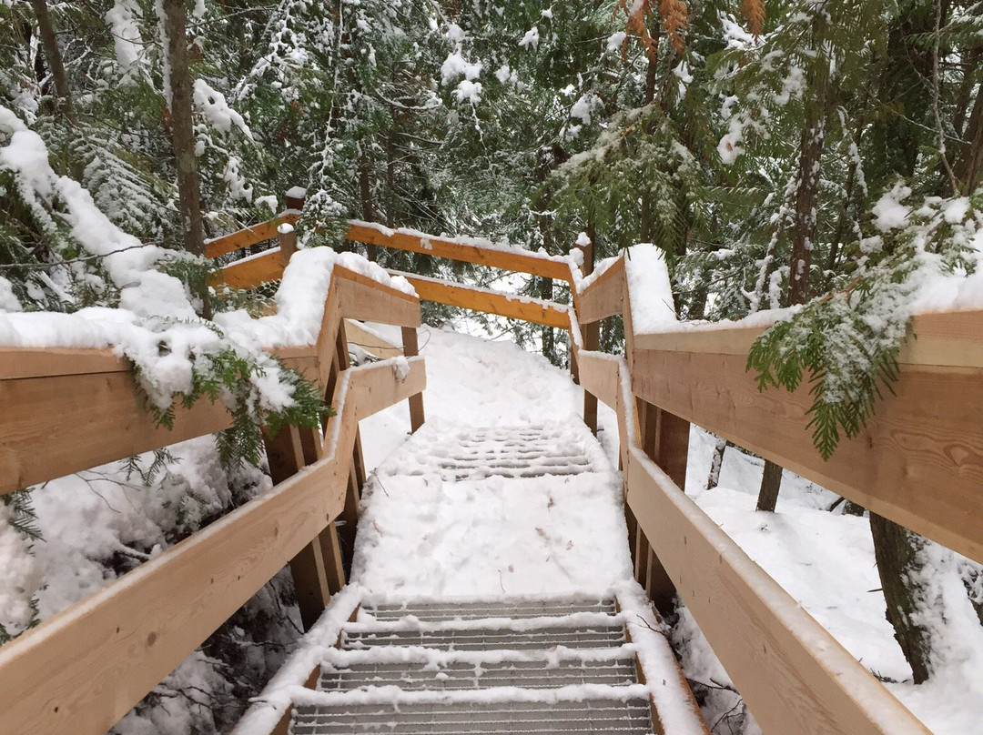 BX Falls景点图片